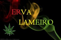 /album/galeria-de-fotos/a549802-407582905996125-1910853784-n-jpg/